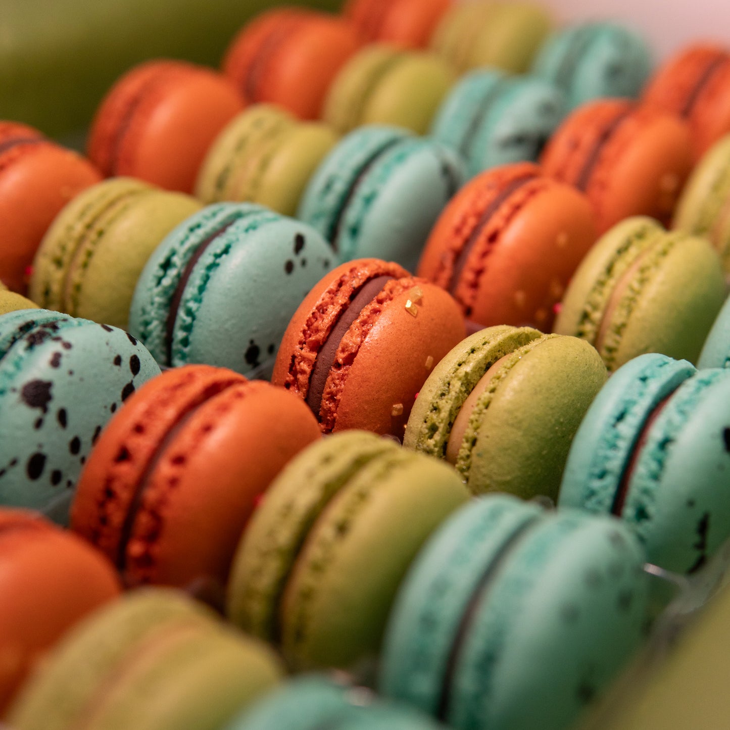 Box Macarons Green