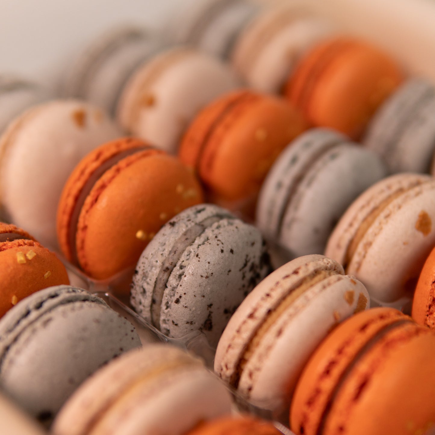 Box Macarons Coffee Break