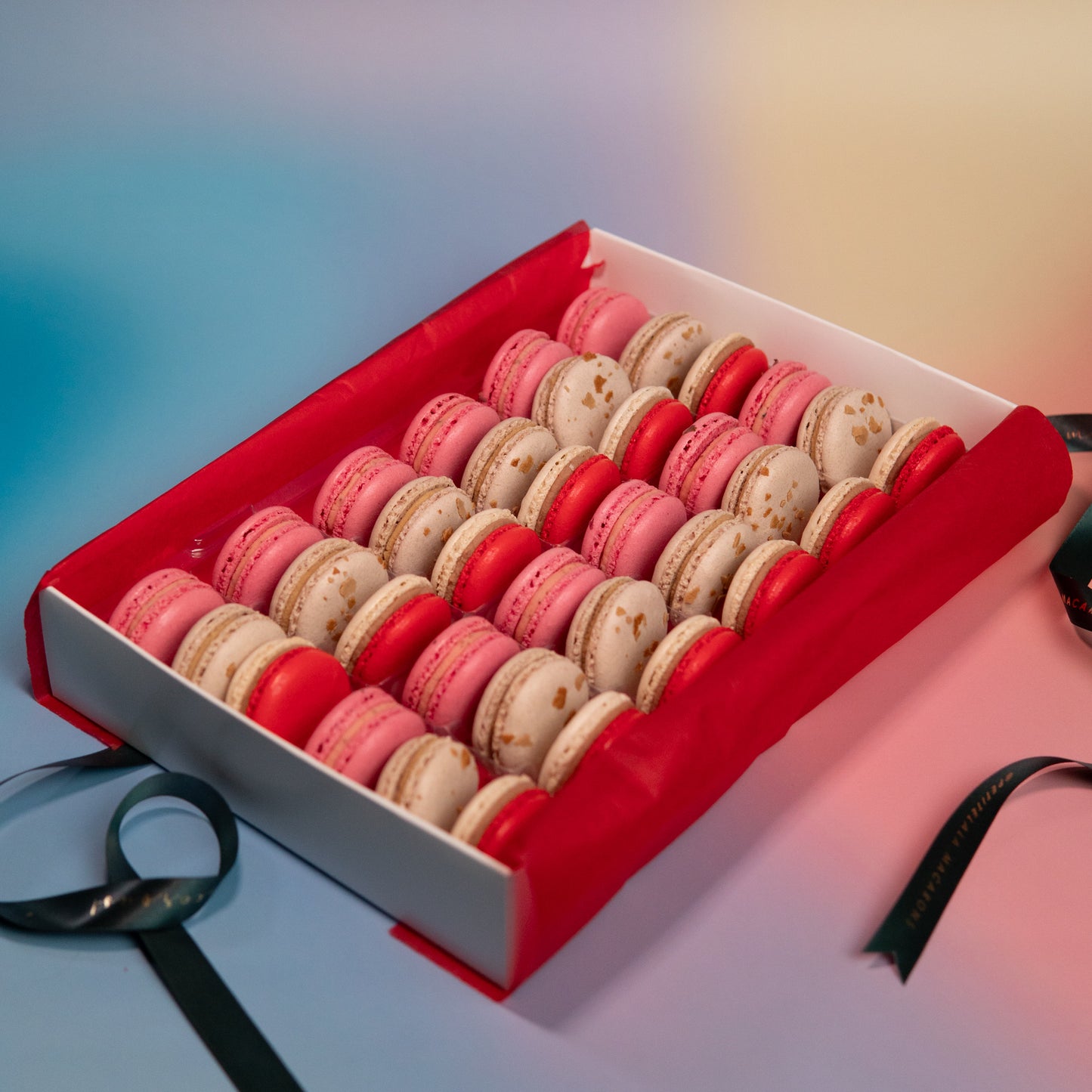 Box Macarons Girls Night