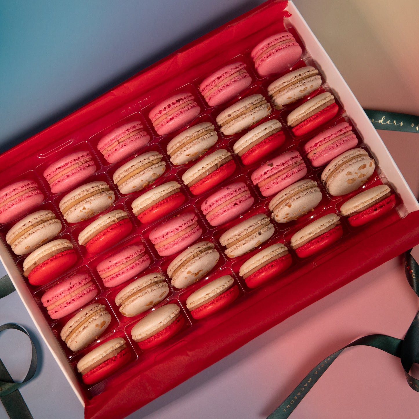 Box Macarons Girls Night