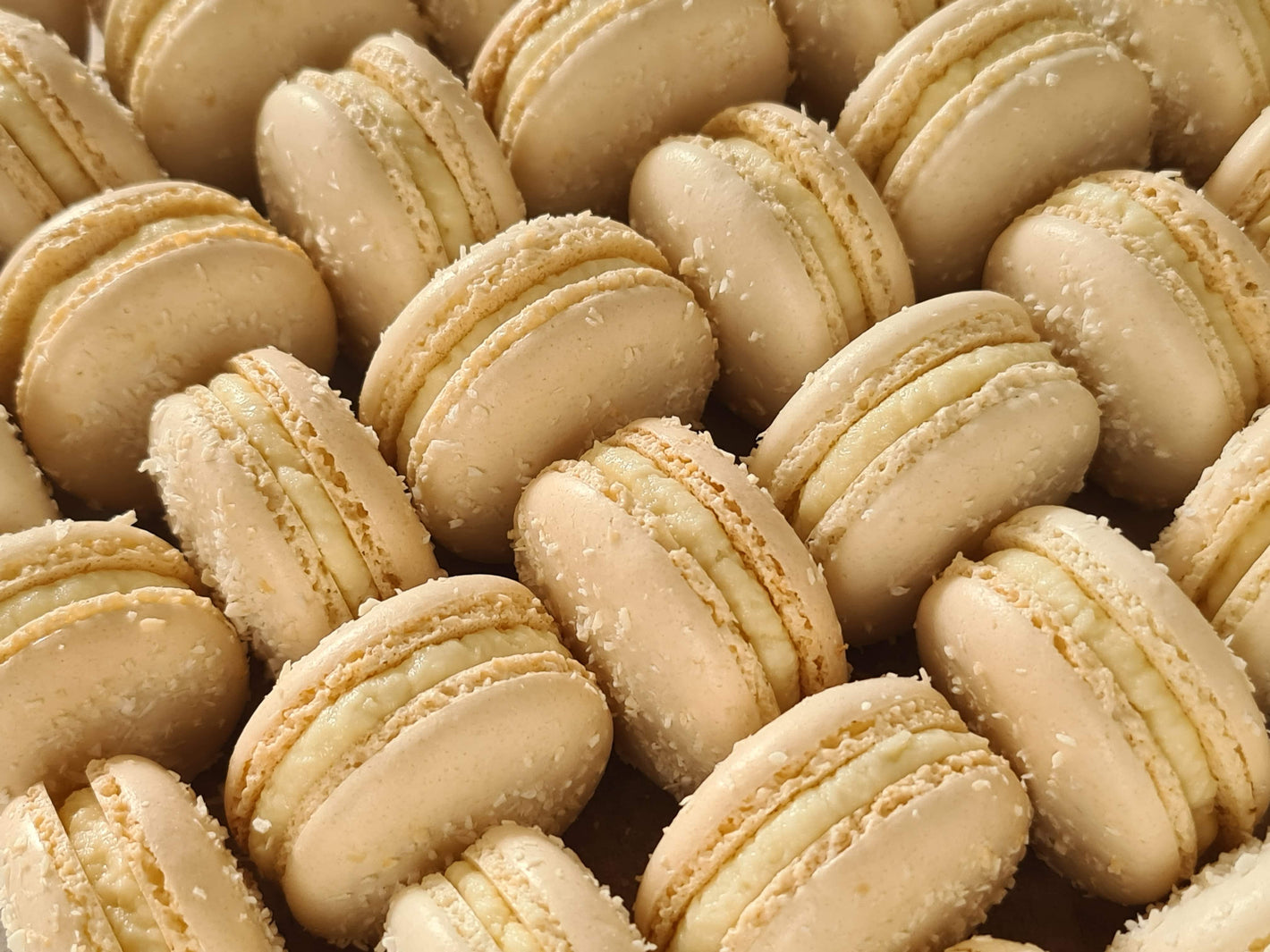 Macarons cu Cocos - Alege combinația ta preferată de arome și culori